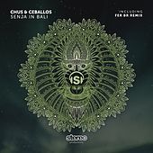 Thumbnail for the Chus & Ceballos - Senja in Bali link, provided by host site