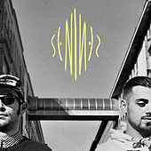 Image of Senamo linking to their artist page due to link from them being at the top of the main table on this page