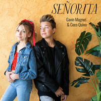 Thumbnail for the Gavin Magnus - Señorita link, provided by host site