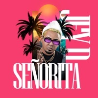 Thumbnail for the Jey D - Señorita link, provided by host site