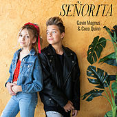 Thumbnail for the Gavin Magnus - Señorita link, provided by host site