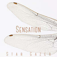 Thumbnail for the Stargazer - Sensation link, provided by host site