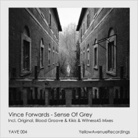 Thumbnail for the Vince Forwards - Sense of Grey link, provided by host site
