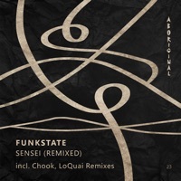 Thumbnail for the FunkState - Sensei (The Remixes) link, provided by host site