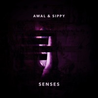 Thumbnail for the SIPPY - Senses link, provided by host site