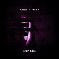 Thumbnail for the SIPPY - Senses link, provided by host site