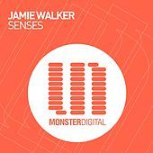 Thumbnail for the Jamie Walker - Senses link, provided by host site
