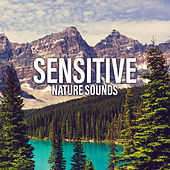 Thumbnail for the The Rest - Sensitive Nature Sounds link, provided by host site