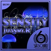 Thumbnail for the Juanmy.R - Sensity link, provided by host site