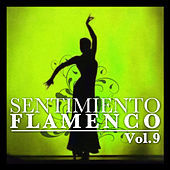 Thumbnail for the Sabicas - Sentimiento link, provided by host site