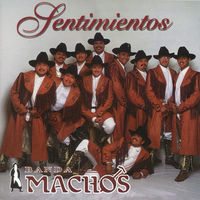 Thumbnail for the Banda Machos - Sentimientos link, provided by host site