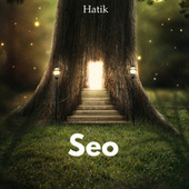 Thumbnail for the Hatik - Seo link, provided by host site