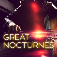 Thumbnail for the Wilhelm Stenhammar - Serenade in F major, Op. 31: 4. Notturno: Andante sostenuto link, provided by host site
