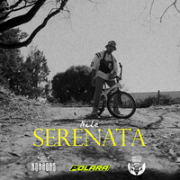 Thumbnail for the Nile - Serenata link, provided by host site