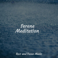 Thumbnail for the Ambient Music Therapy - Serene Meditation link, provided by host site