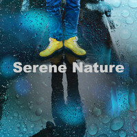 Thumbnail for the Deep Forest - Serene Nature link, provided by host site