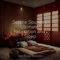 Thumbnail for the Meditation Spa - Serene Sounds | Ultimate Relaxation and Sleep link, provided by host site