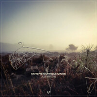 Thumbnail for the Vince Forwards - Serene Surroundings link, provided by host site