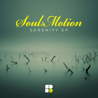 Image of Soulmotion linking to their artist page due to link from them being at the top of the main table on this page