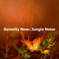 Thumbnail for the Deep Forest - Serenity Now: Jungle Noise link, provided by host site
