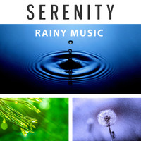 Thumbnail for the Nature and Rain - Serenity Rainy Music – Sounds Collection for Relaxation, Sleep and Stress Busters, Insomnia and Restless Sleep link, provided by host site