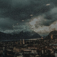 Thumbnail for the Meditation Spa - Serenity Sounds for Natural Relaxation link, provided by host site