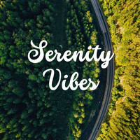 Thumbnail for the Relaxation Meditation Yoga Music - Serenity Vibes: Calming Melodies for Inner Peace and Stress Relief link, provided by host site