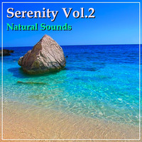 Thumbnail for the D.R. - Serenity Vol.2 link, provided by host site