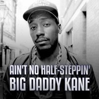 Thumbnail for the Big Daddy Kane - Set It Off link, provided by host site