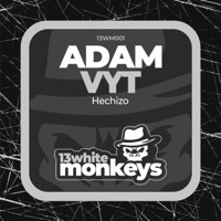 Thumbnail for the Adam Vyt - Set You Free link, provided by host site