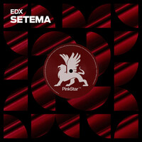 Thumbnail for the EDX - Setema link, provided by host site
