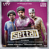 Image of SS Thaman linking to their artist page due to link from them being at the top of the main table on this page