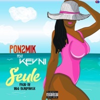 Thumbnail for the Pon2mik - Seule link, provided by host site