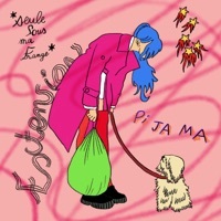 Thumbnail for the Pi Ja Ma - Seule sous ma frange (Extension) link, provided by host site