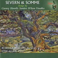 Thumbnail for the Roderick Williams - Severn & Somme link, provided by host site