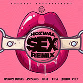 Thumbnail for the Hozwal - Sex (Remix) link, provided by host site