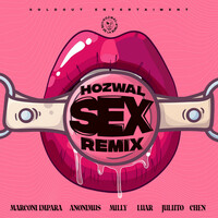 Thumbnail for the Hozwal - Sex (Remix) link, provided by host site