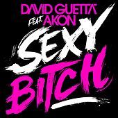 Thumbnail for the David Guetta - Sexy Bitch (Remixes 1) link, provided by host site
