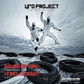 Thumbnail for the UFO Project - Sexy Bitches From Outer Space, Pt. 5 link, provided by host site