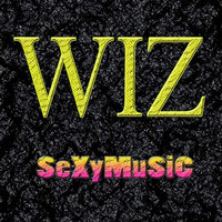 Thumbnail for the Wiz - Sexy Music link, provided by host site