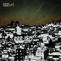 Thumbnail for the ESG - SGDT#1 link, provided by host site