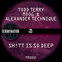 Thumbnail for the Todd Terry - Sh!Tt Is so Deep link, provided by host site