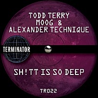 Thumbnail for the Todd Terry - Sh!Tt Is so Deep link, provided by host site