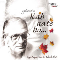 Thumbnail for the Jagjit Singh - Shaam Se link, provided by host site