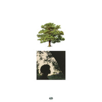Thumbnail for the Trapo - Shade Trees link, provided by host site