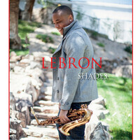Thumbnail for the Lebron - Shades link, provided by host site