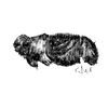 Image of Sean Heathcliff linking to their artist page due to link from them being at the top of the main table on this page