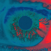 Thumbnail for the Chromatics - Shadow (Remixes) link, provided by host site