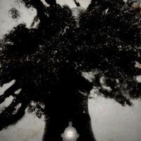 Thumbnail for the Reverb - Shadows link, provided by host site