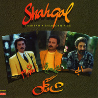 Thumbnail for the Ebi - Shahgol - Persian Music link, provided by host site